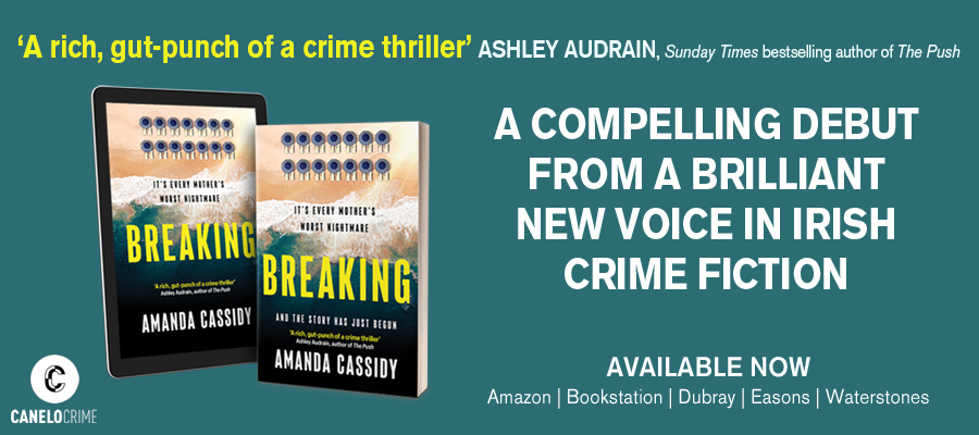 Breaking by Amanda Cassidy.  Debut Irish Crime Fiction Novel.